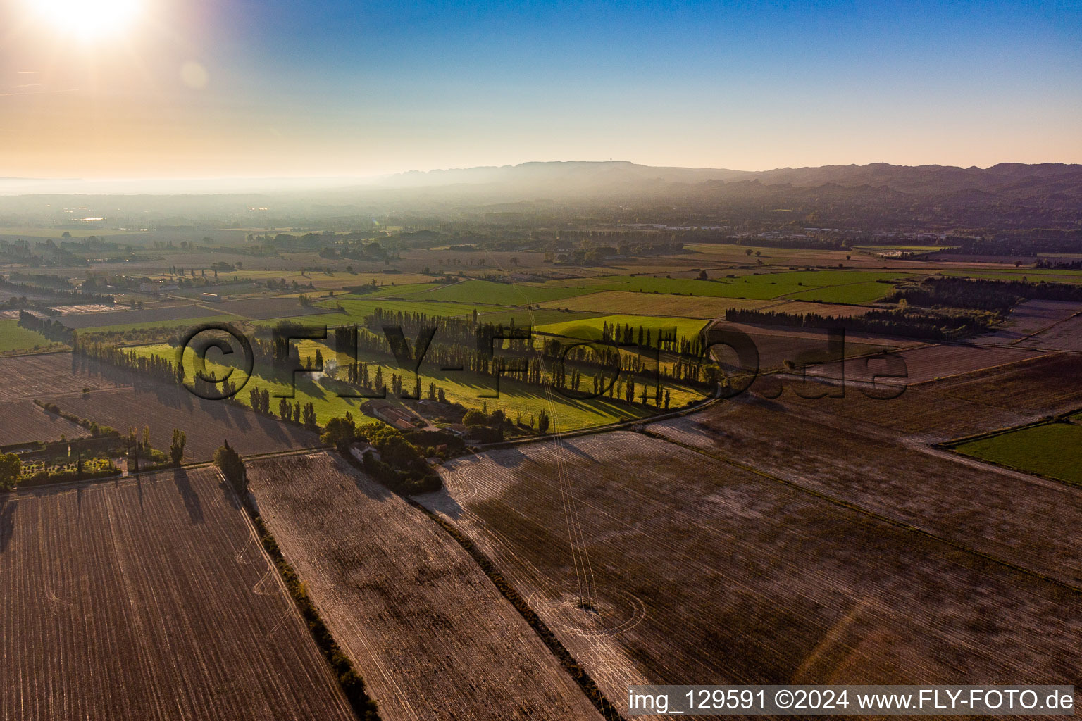 Row of trees to protect the fields from the mistral in Saint-Etienne-du-Gres in Provence-Alpes-Cote d'Azur, France