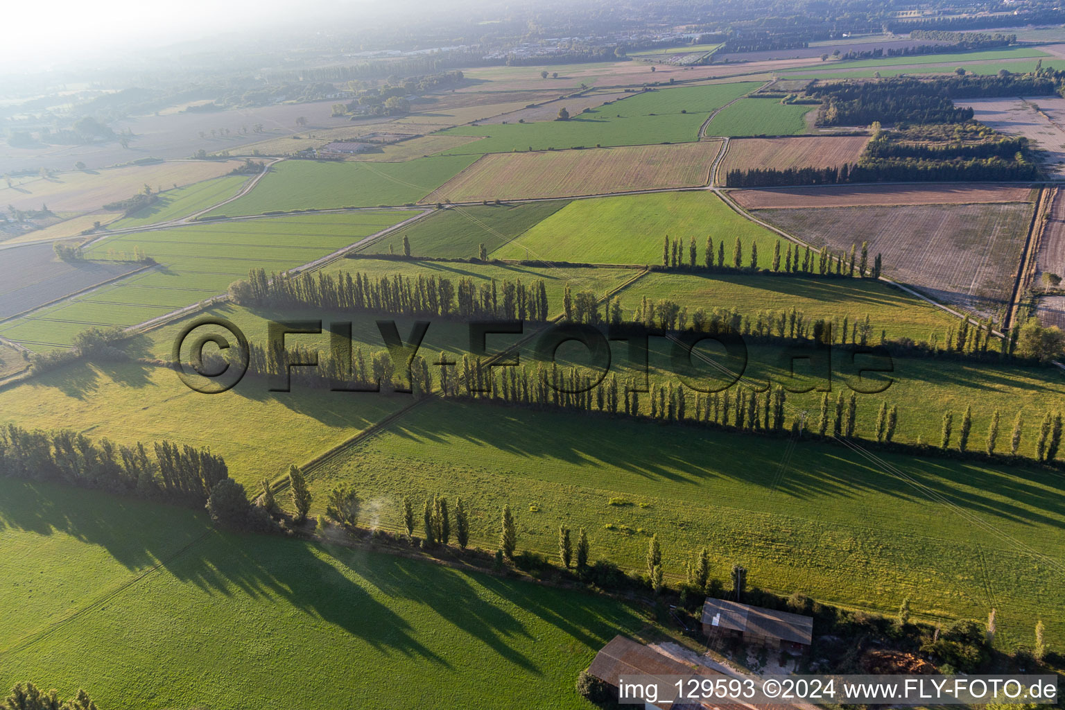 Wind-protected fields in Maillane in the state Bouches du Rhone, France