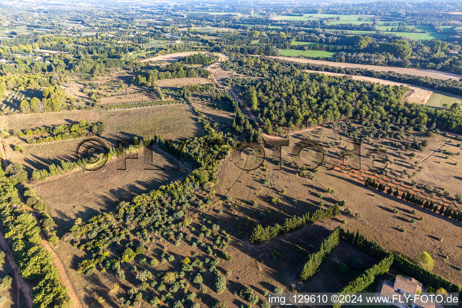 The plain of Crau in the district Partie Nord Est in Saint-Rémy-de-Provence in the state Bouches du Rhone, France