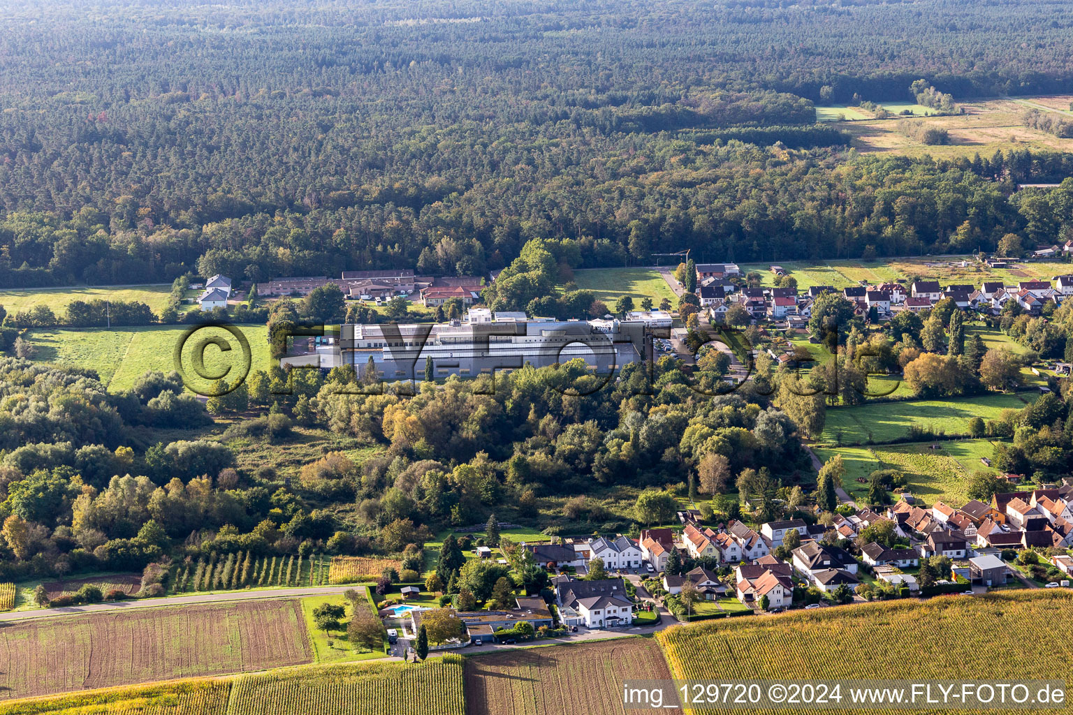 Aerial photograpy of Webasto Mechatronics in the district Schaidt in Wörth am Rhein in the state Rhineland-Palatinate, Germany