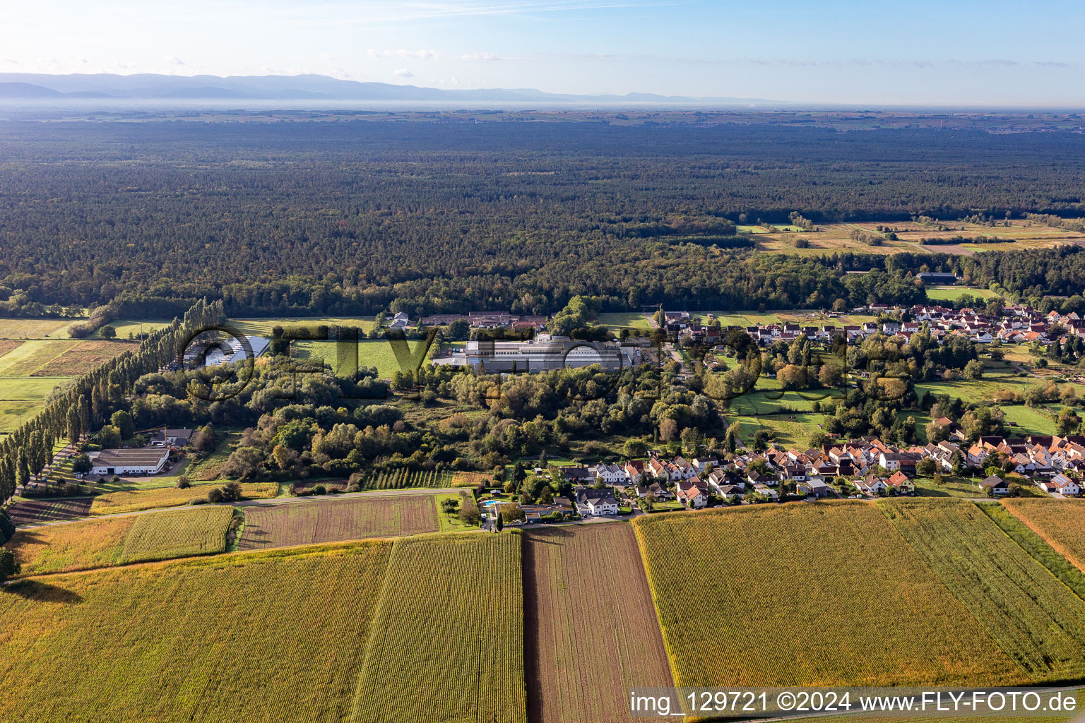 Oblique view of Webasto Mechatronics in the district Schaidt in Wörth am Rhein in the state Rhineland-Palatinate, Germany