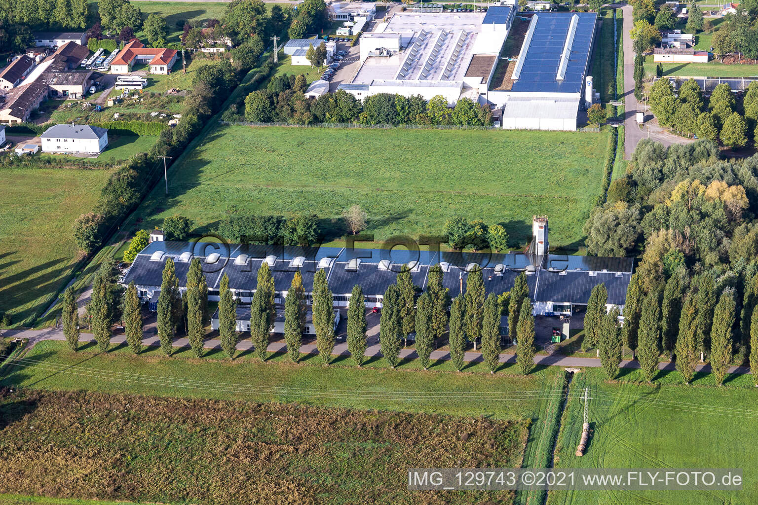 Aerial view of Cactus Druck & Verlags-GmbH in the district Schaidt in Wörth am Rhein in the state Rhineland-Palatinate, Germany