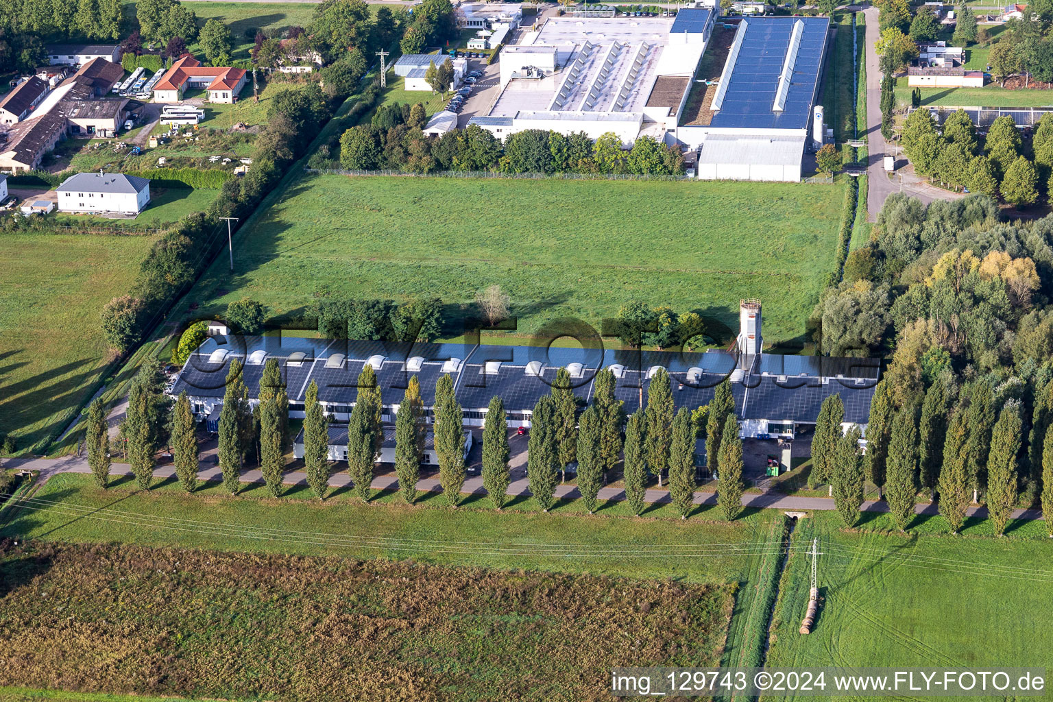 Aerial view of Cactus Printing & Publishing GmbH in the district Schaidt in Wörth am Rhein in the state Rhineland-Palatinate, Germany