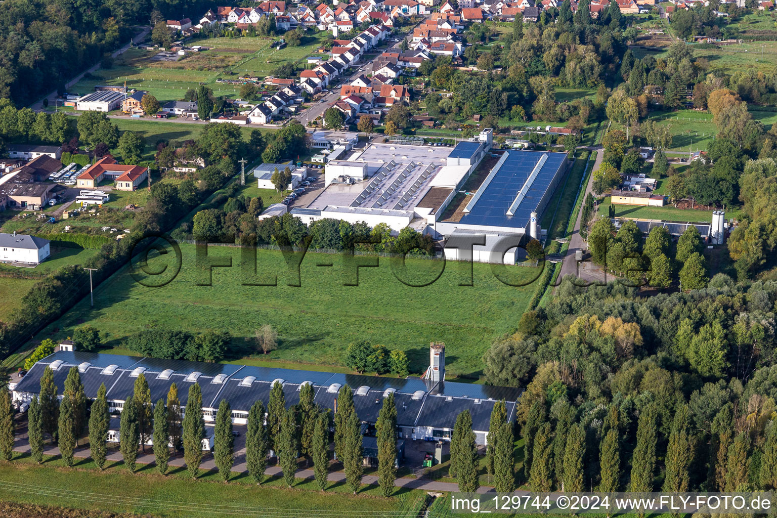 Aerial photograpy of Cactus Printing & Publishing GmbH in the district Schaidt in Wörth am Rhein in the state Rhineland-Palatinate, Germany