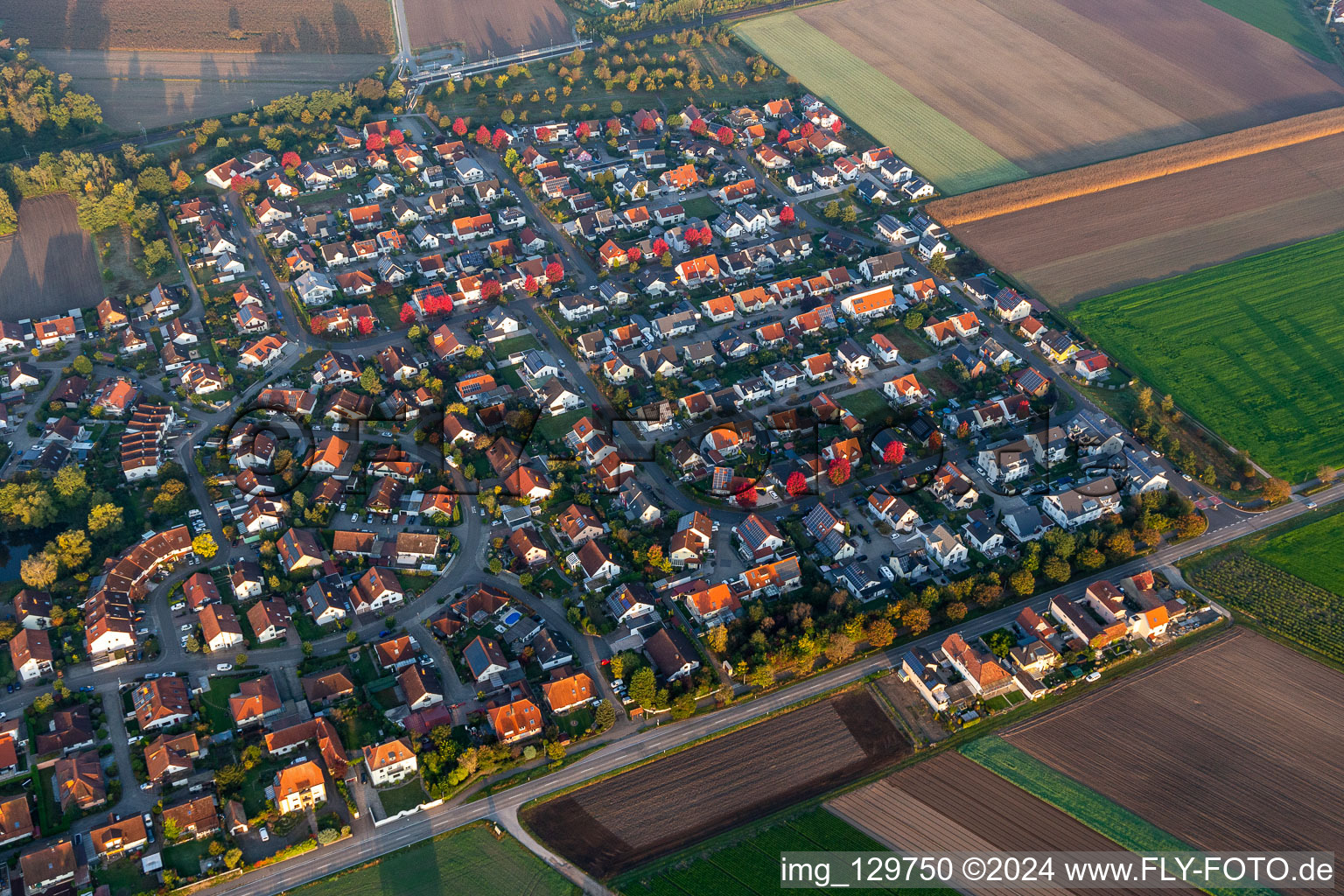 Bird's eye view of Rheinzabern in the state Rhineland-Palatinate, Germany