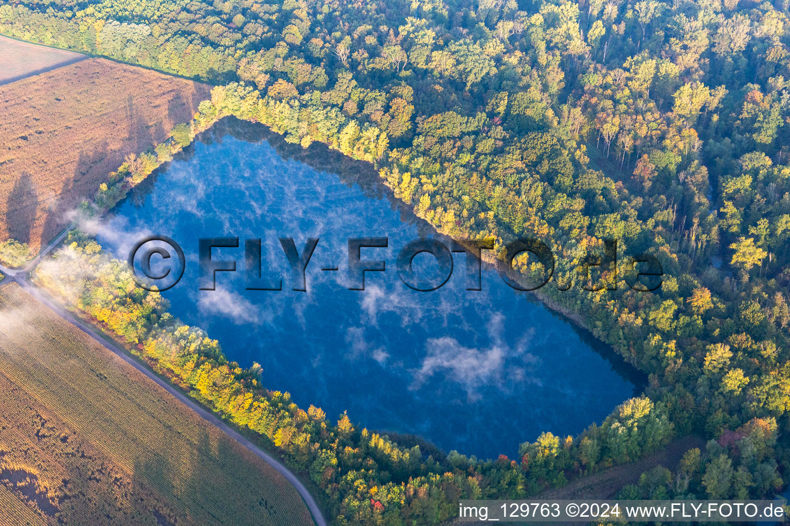 Early fog in the Rhine floodplains in Hördt in the state Rhineland-Palatinate, Germany