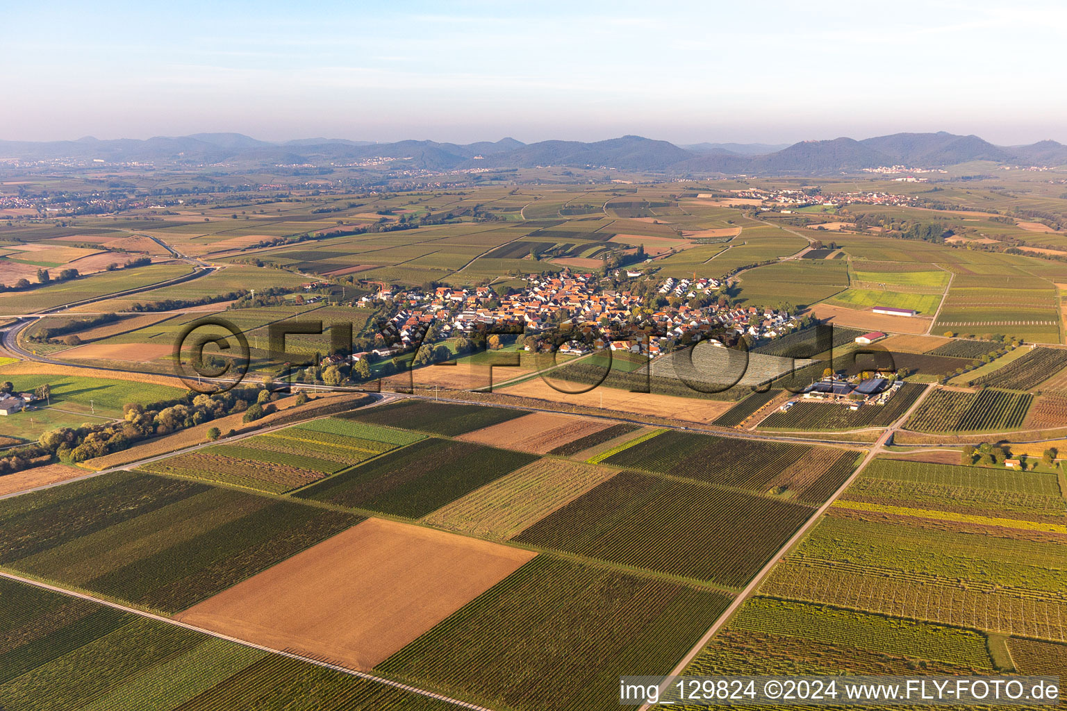 Impflingen in the state Rhineland-Palatinate, Germany from a drone