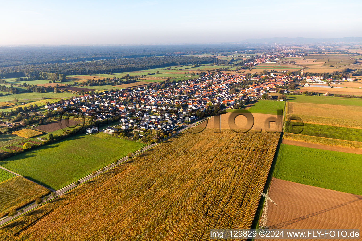 Minfeld in the state Rhineland-Palatinate, Germany out of the air