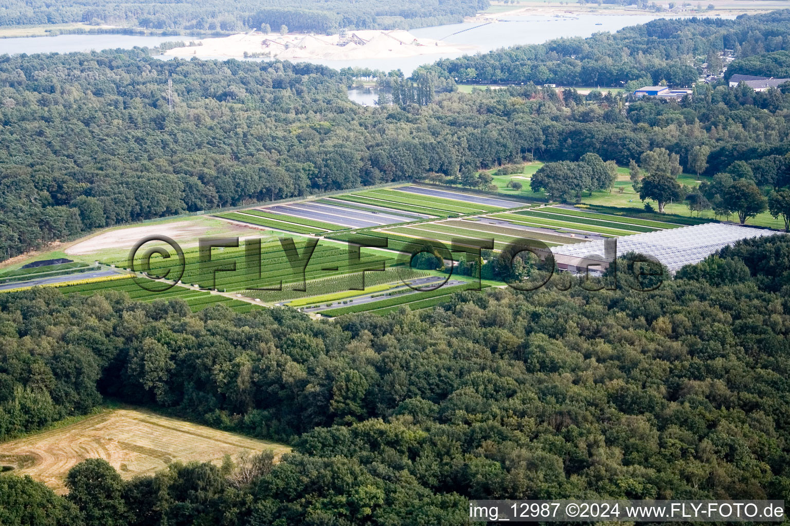 Drone image of De Hamert in the state Limburg, Netherlands