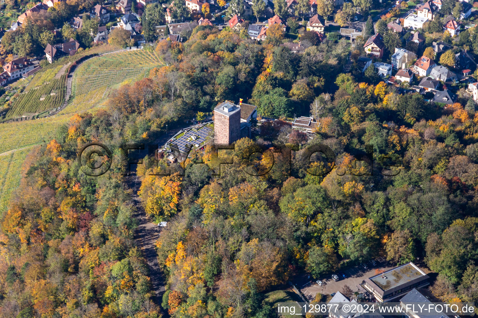 Turmberg in the district Durlach in Karlsruhe in the state Baden-Wuerttemberg, Germany