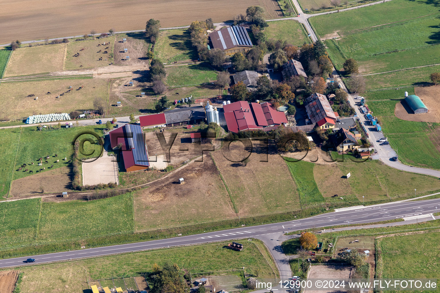 Denninger Poultry Farm in the district Langensteinbach in Karlsbad in the state Baden-Wuerttemberg, Germany