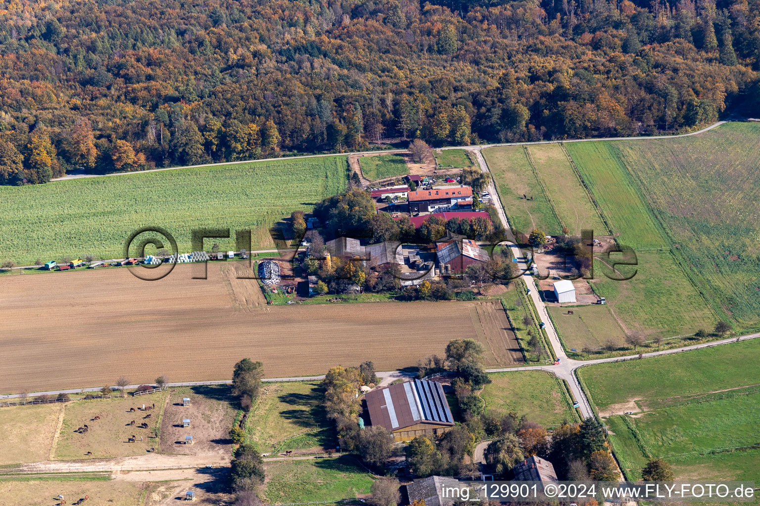 Adventure farm Karlsbad, Beckers Steinighoflädle farm shop in the district Langensteinbach in Karlsbad in the state Baden-Wuerttemberg, Germany