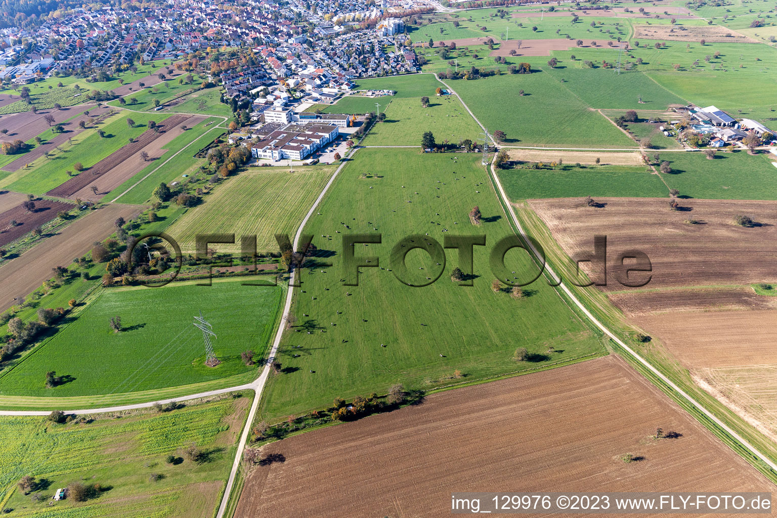 Aerial view of Cattle pasture in the district Langensteinbach in Karlsbad in the state Baden-Wuerttemberg, Germany