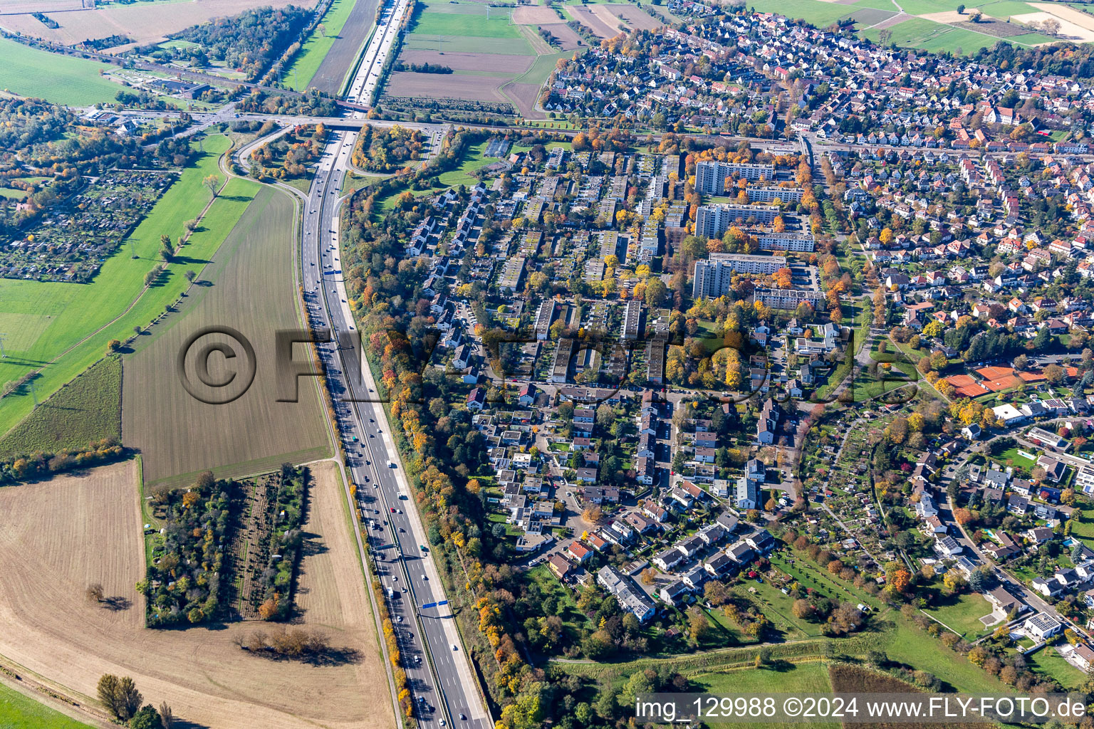 District Rüppurr in Karlsruhe in the state Baden-Wuerttemberg, Germany from above