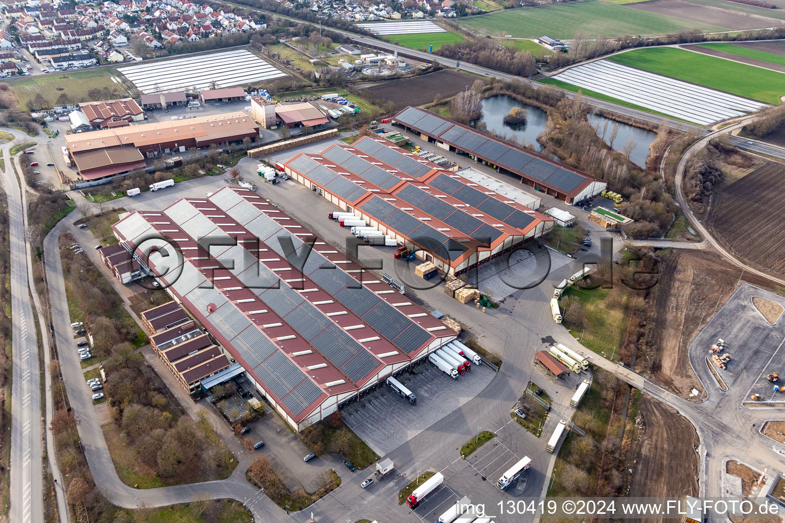 Oblique view of Palatinate market for fruit and vegetables in the district Dannstadt in Dannstadt-Schauernheim in the state Rhineland-Palatinate, Germany