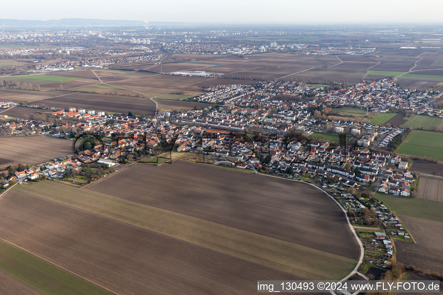 Aerial view of District Flomersheim in Frankenthal in the state Rhineland-Palatinate, Germany