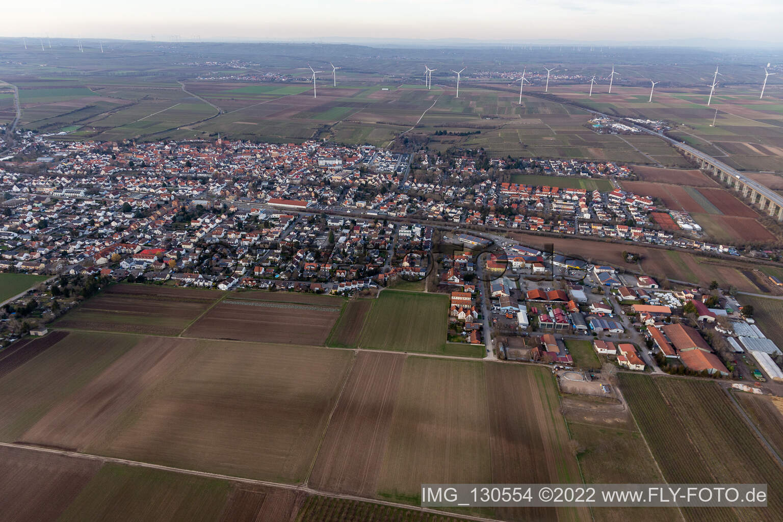 District Pfeddersheim in Worms in the state Rhineland-Palatinate, Germany seen from above