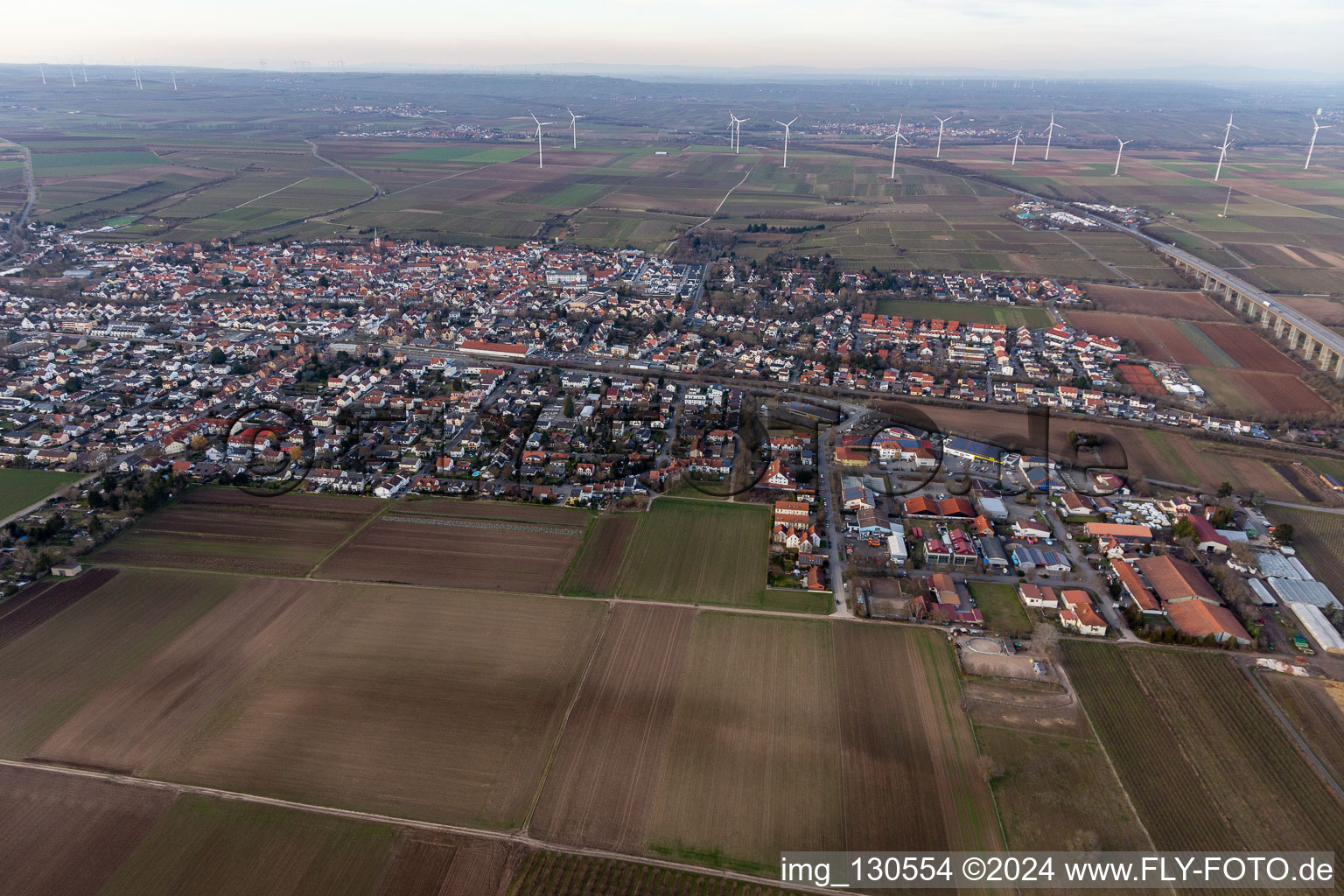 District Pfeddersheim in Worms in the state Rhineland-Palatinate, Germany seen from above