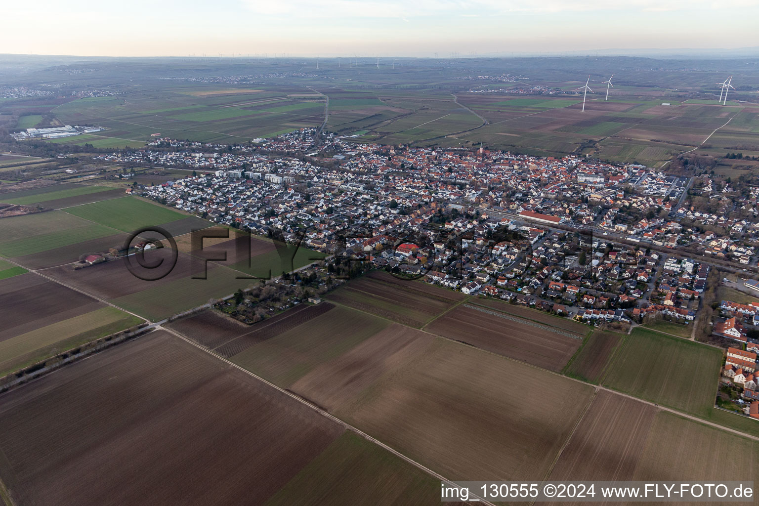 District Pfeddersheim in Worms in the state Rhineland-Palatinate, Germany from the plane