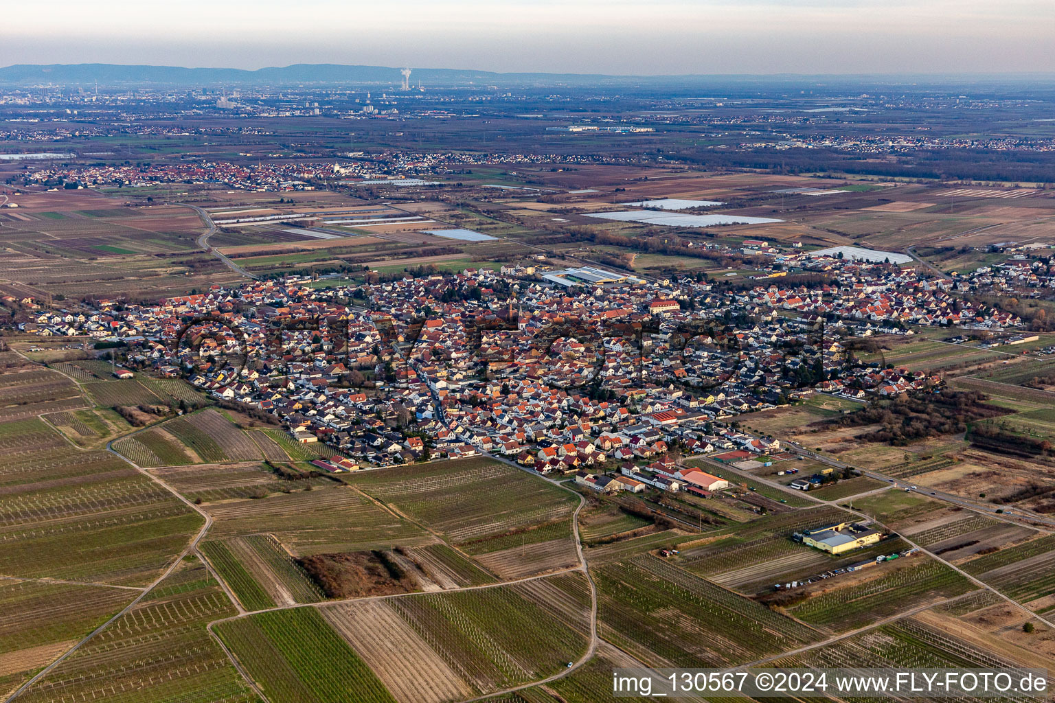 Aerial photograpy of Weisenheim am Sand in the state Rhineland-Palatinate, Germany