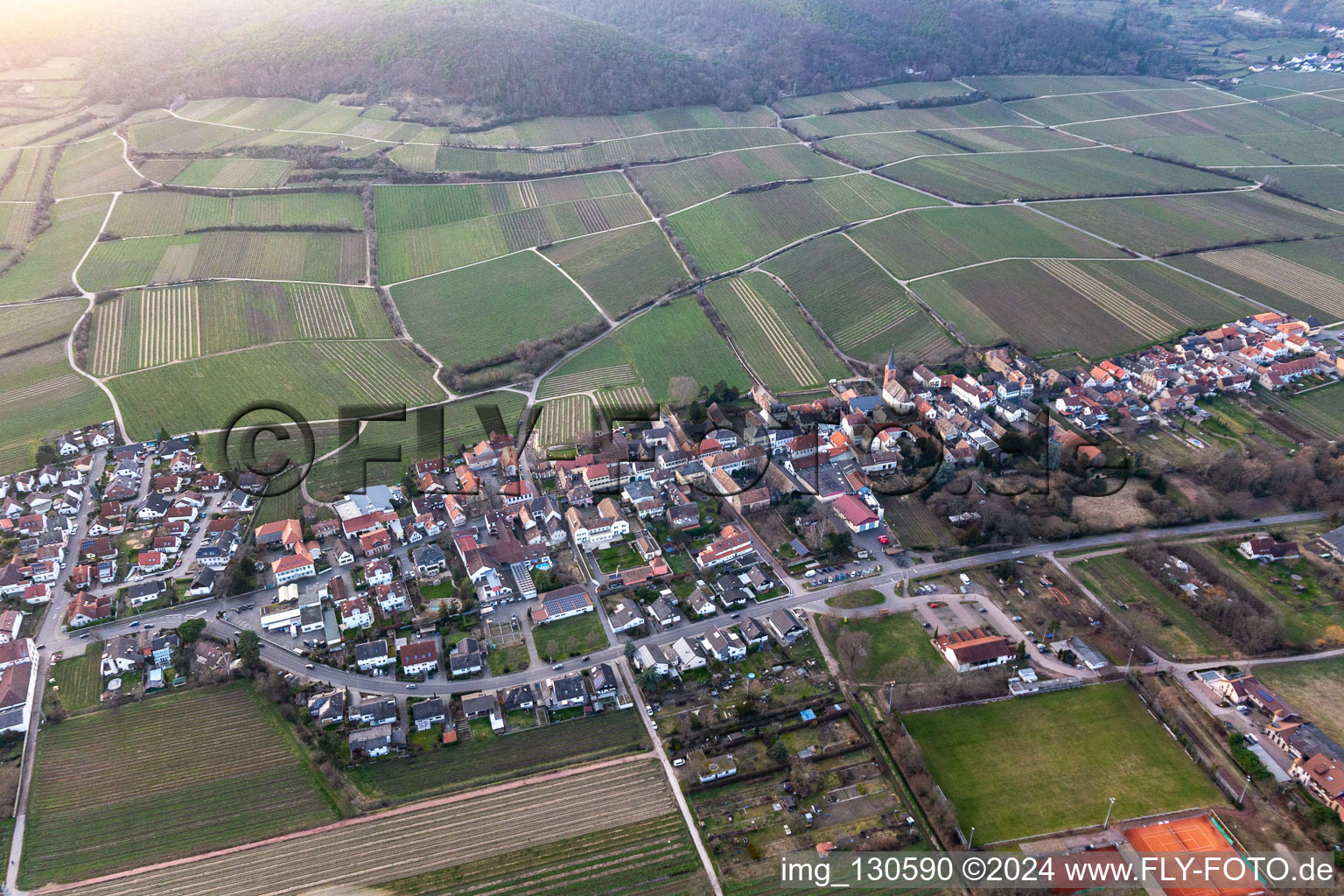 Oblique view of District Forst in Forst an der Weinstraße in the state Rhineland-Palatinate, Germany