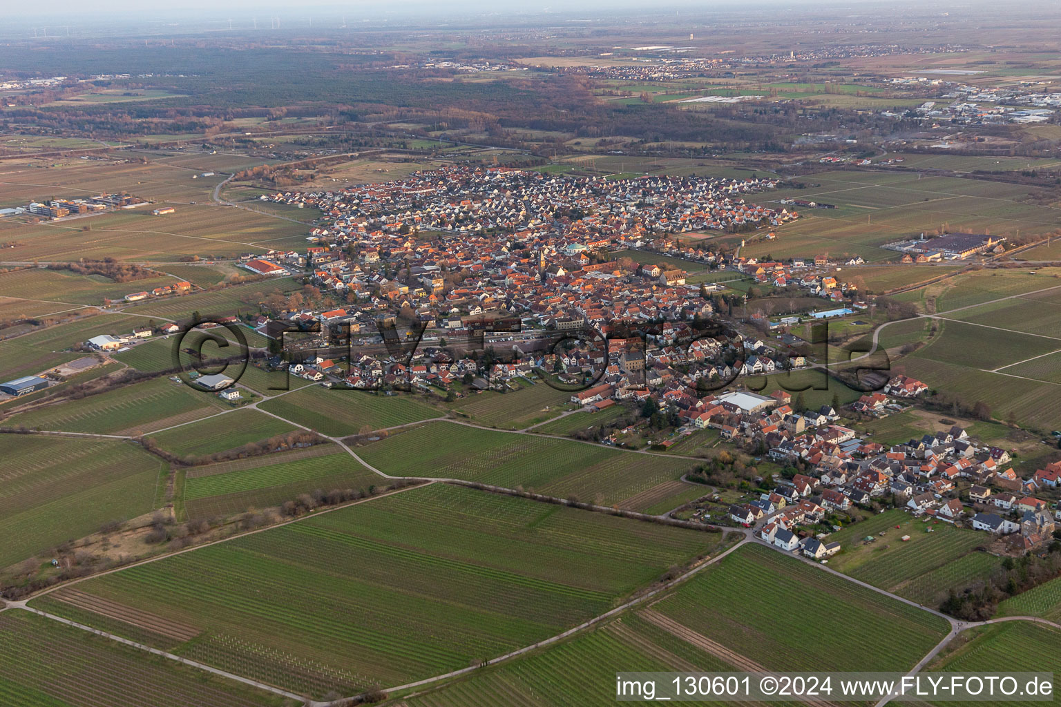 Bird's eye view of District Mußbach in Neustadt an der Weinstraße in the state Rhineland-Palatinate, Germany