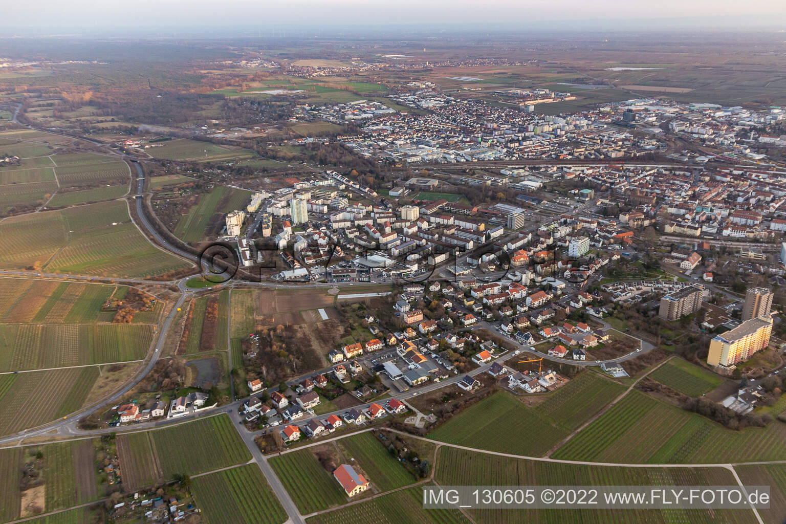 Aerial view of Neustadt an der Weinstraße in the state Rhineland-Palatinate, Germany
