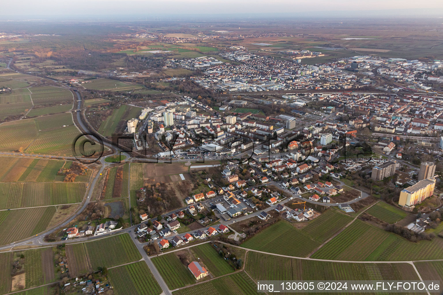 Aerial view of Neustadt an der Weinstraße in the state Rhineland-Palatinate, Germany