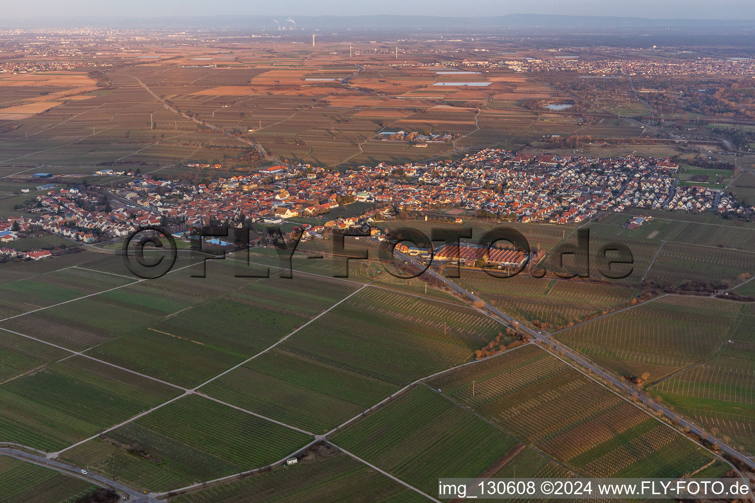 District Mußbach in Neustadt an der Weinstraße in the state Rhineland-Palatinate, Germany viewn from the air