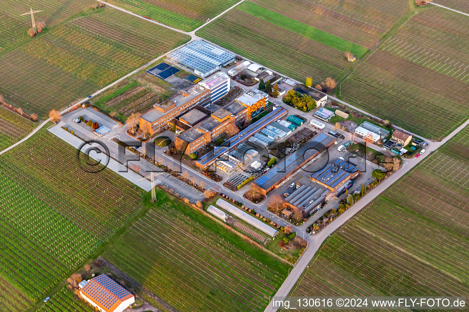 Aerial view of RLP Agroscience GmbH, DLR Service Centre for Rural Areas Rheinpfalz in the district Mußbach in Neustadt an der Weinstraße in the state Rhineland-Palatinate, Germany