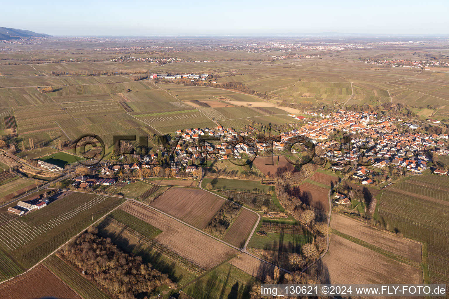 Aerial view of Göcklingen in the state Rhineland-Palatinate, Germany