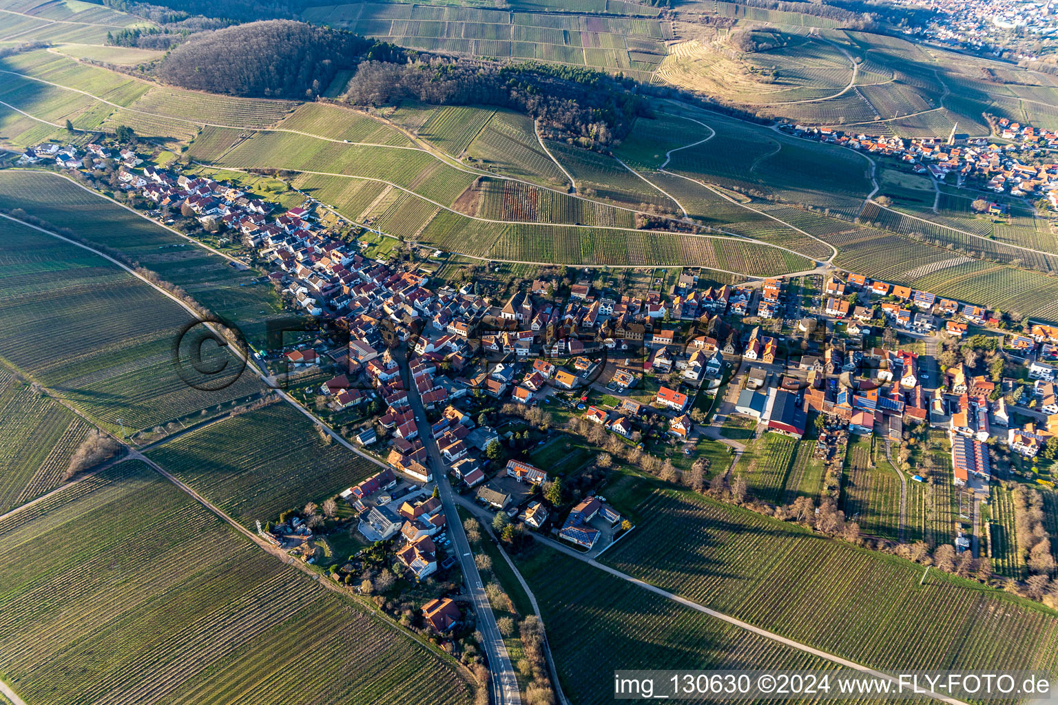 Ranschbach in the state Rhineland-Palatinate, Germany from a drone