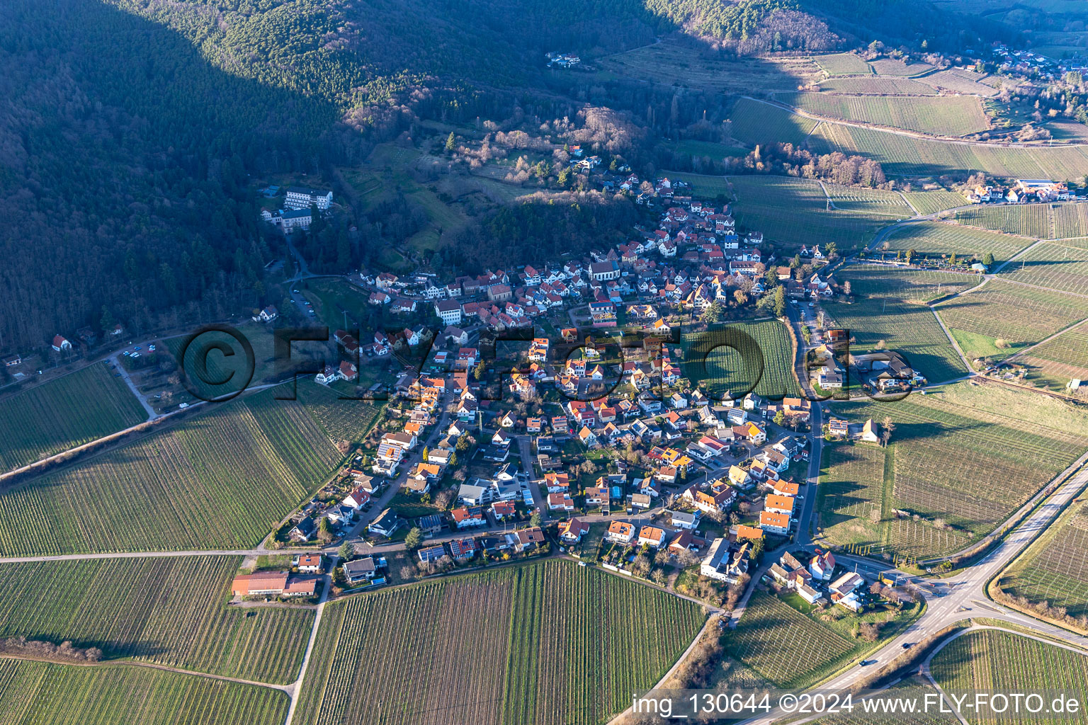 Gleisweiler in the state Rhineland-Palatinate, Germany from a drone