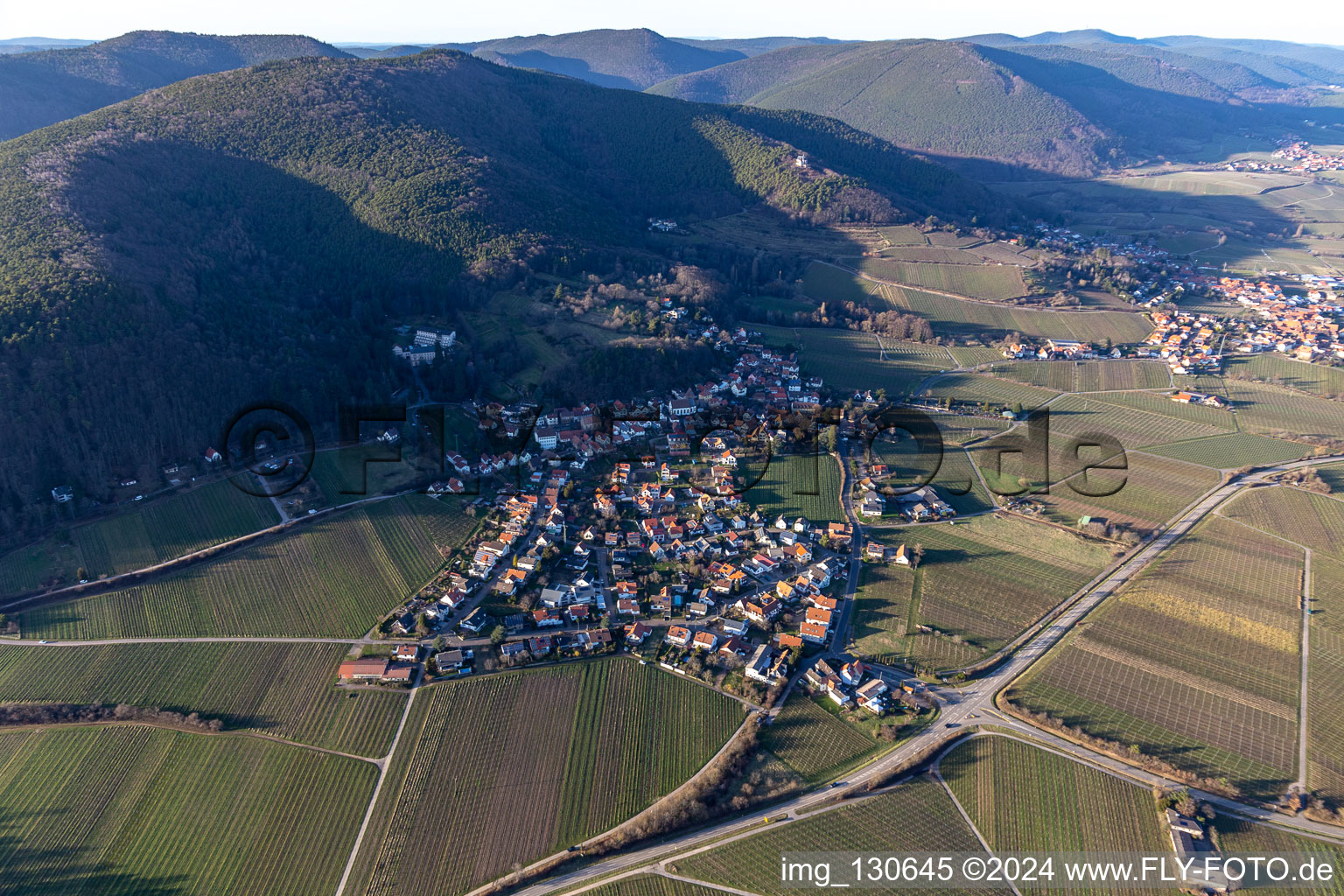 Gleisweiler in the state Rhineland-Palatinate, Germany seen from a drone