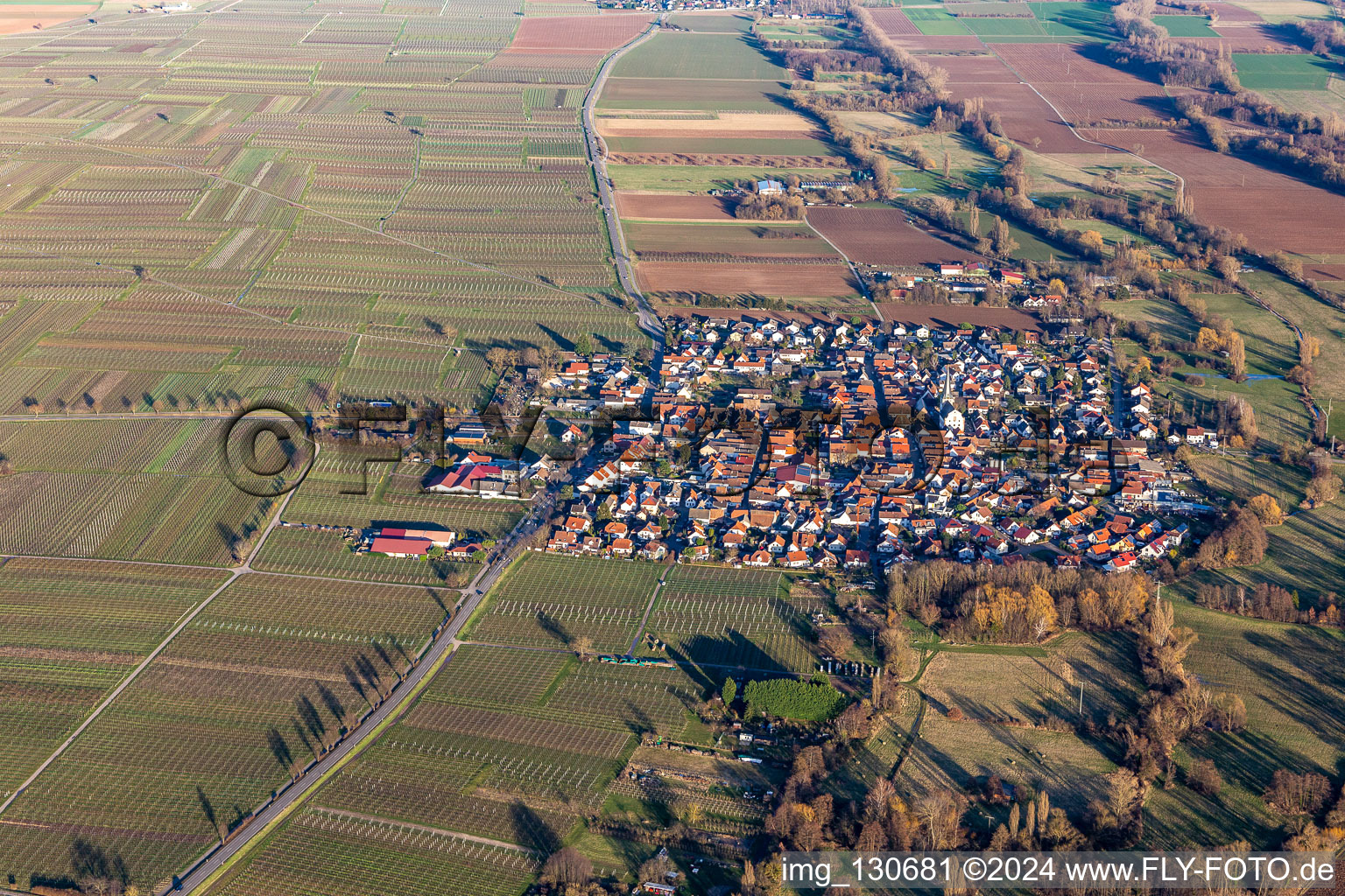 Venningen in the state Rhineland-Palatinate, Germany seen from above