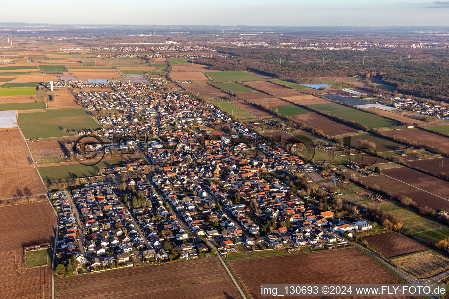 Drone recording of District Niederlustadt in Lustadt in the state Rhineland-Palatinate, Germany