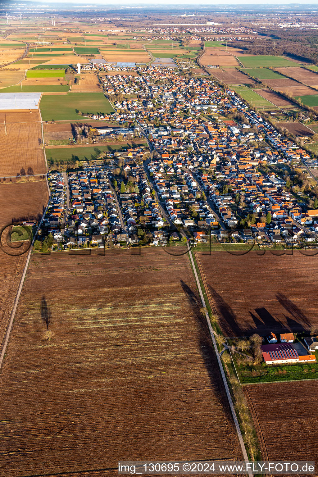 District Niederlustadt in Lustadt in the state Rhineland-Palatinate, Germany from the drone perspective