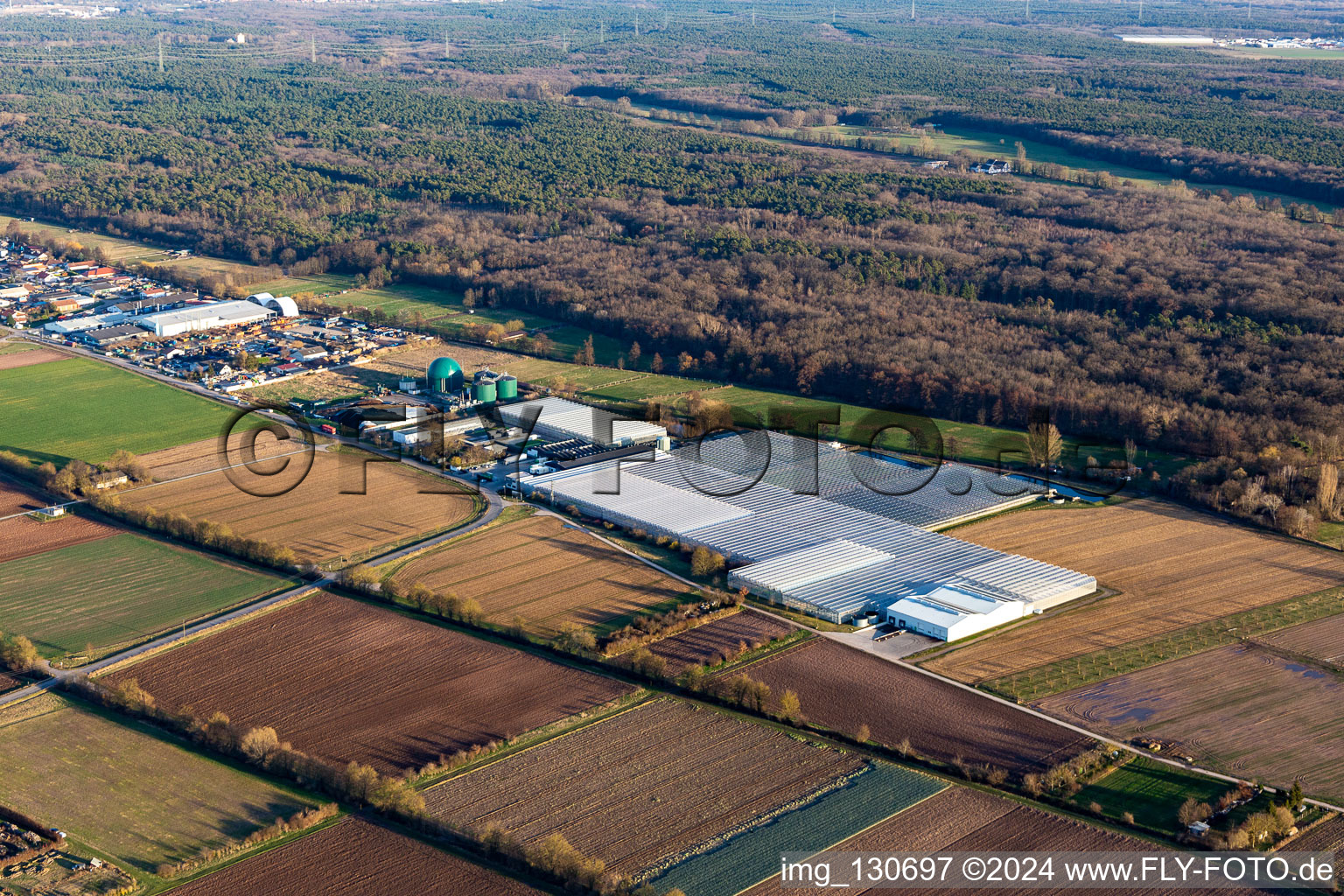 Rudolf Sinn Jungpflanzen GmbH & Co. KG in Lustadt in the state Rhineland-Palatinate, Germany