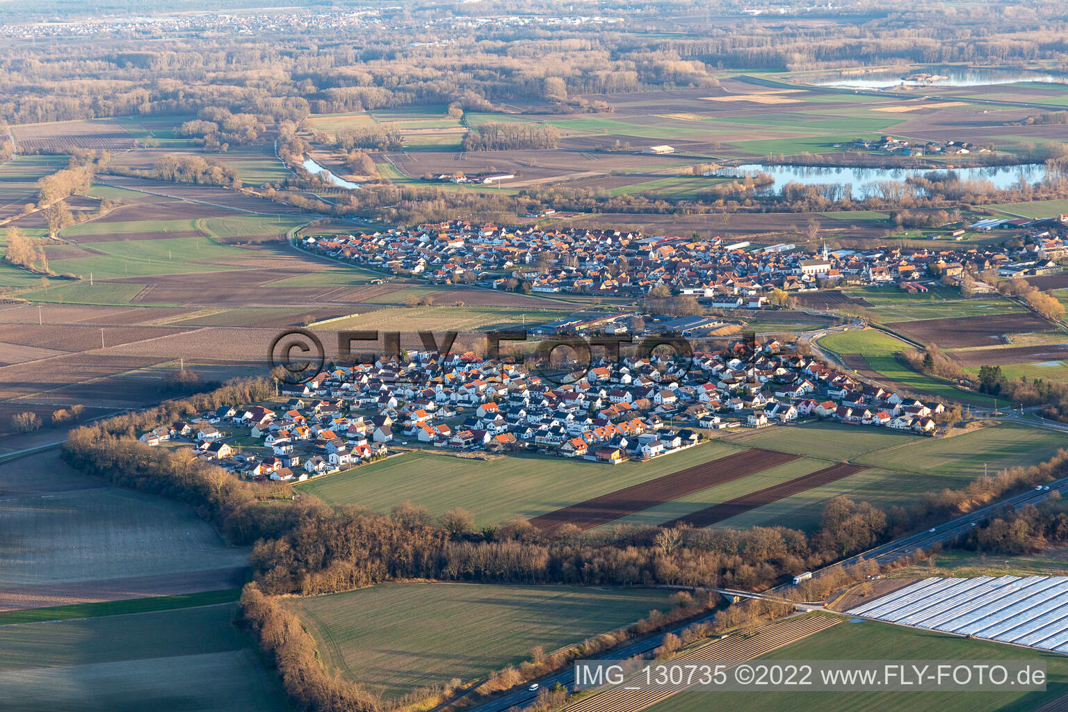 Hardtwald in Neupotz in the state Rhineland-Palatinate, Germany seen from above