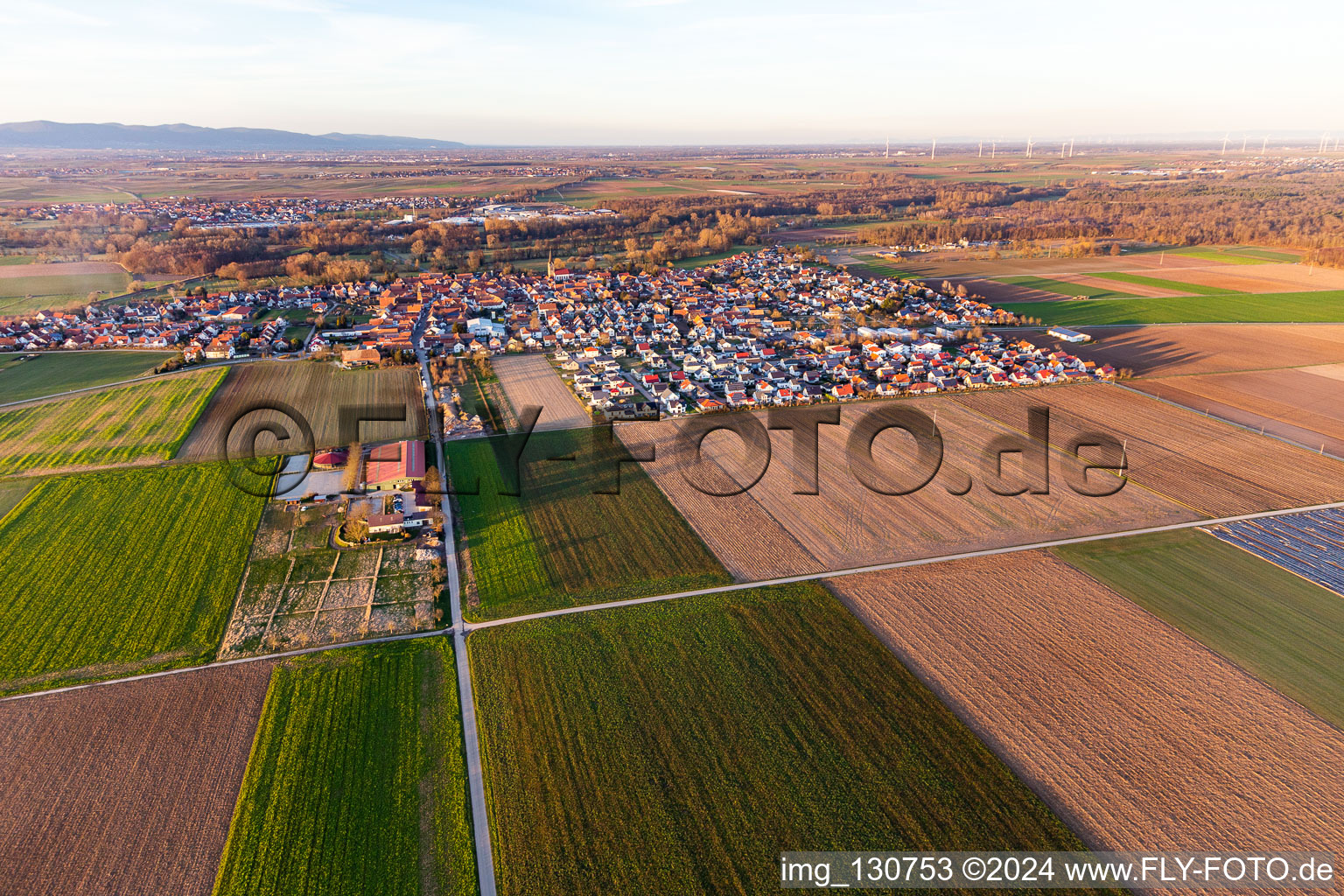 Steinweiler in the state Rhineland-Palatinate, Germany from the drone perspective