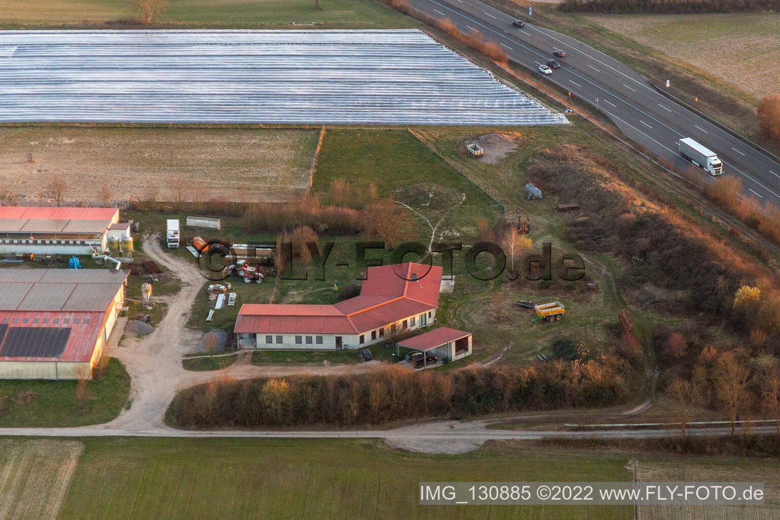 Oblique view of Chicken farm - egg farm in Erlenbach bei Kandel in the state Rhineland-Palatinate, Germany