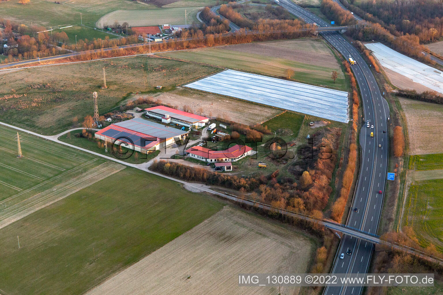 Chicken farm - egg farm in Erlenbach bei Kandel in the state Rhineland-Palatinate, Germany from above