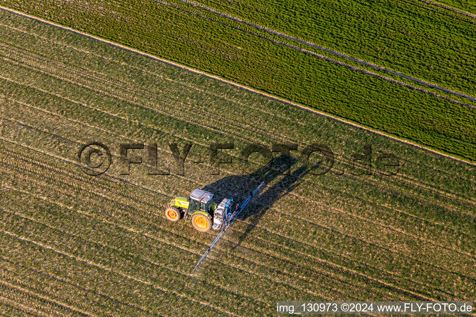 Plant protection application in Niederlauterbach in the state Bas-Rhin, France