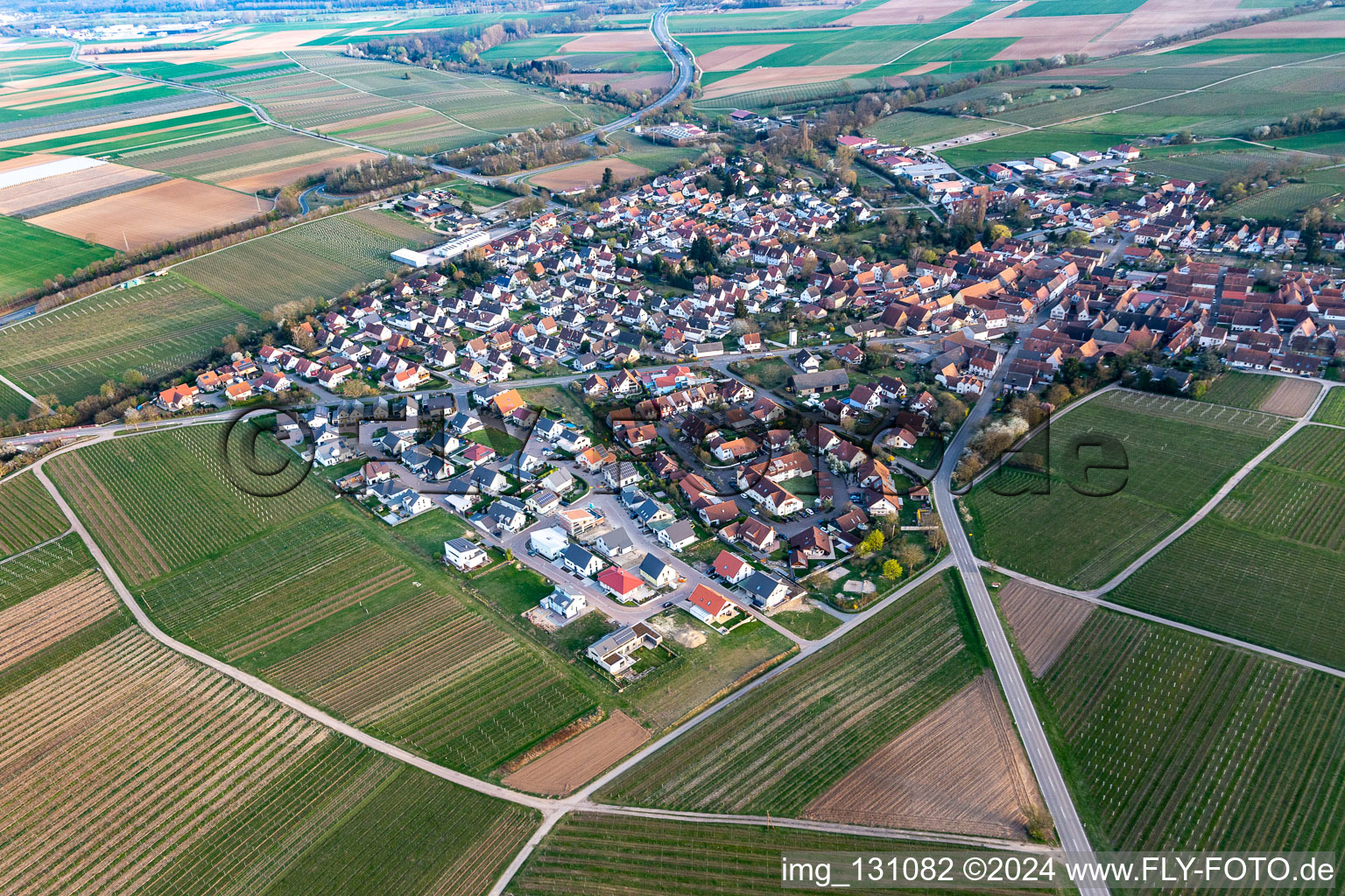 Bird's eye view of Insheim in the state Rhineland-Palatinate, Germany