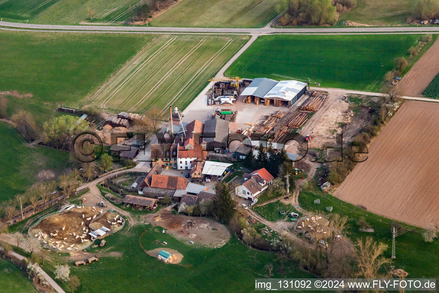 New construction of the burnt down hall Holzwerk ORTH Gerd Sütterlin eK in the district Schaidt in Wörth am Rhein in the state Rhineland-Palatinate, Germany