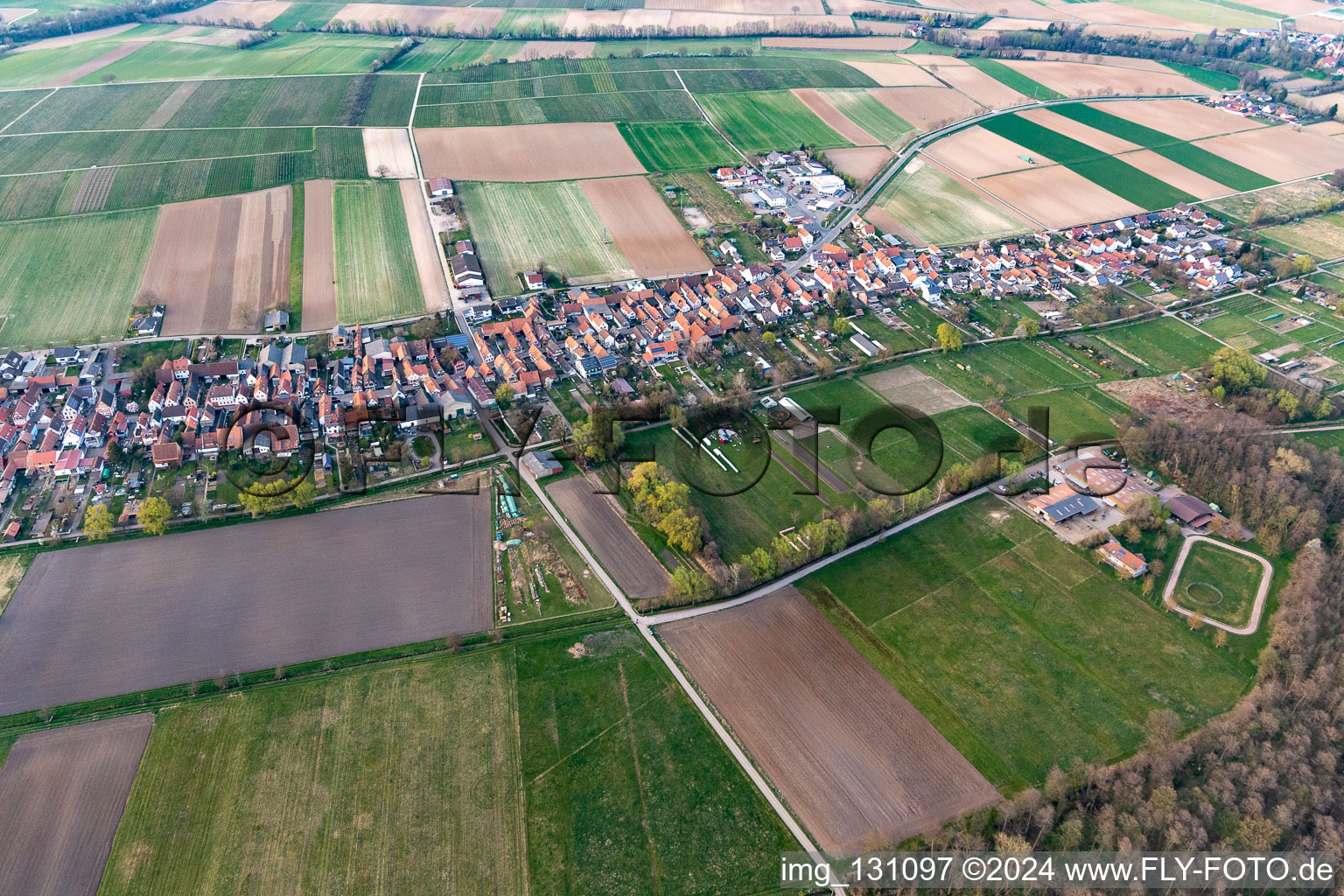 Bird's eye view of Freckenfeld in the state Rhineland-Palatinate, Germany