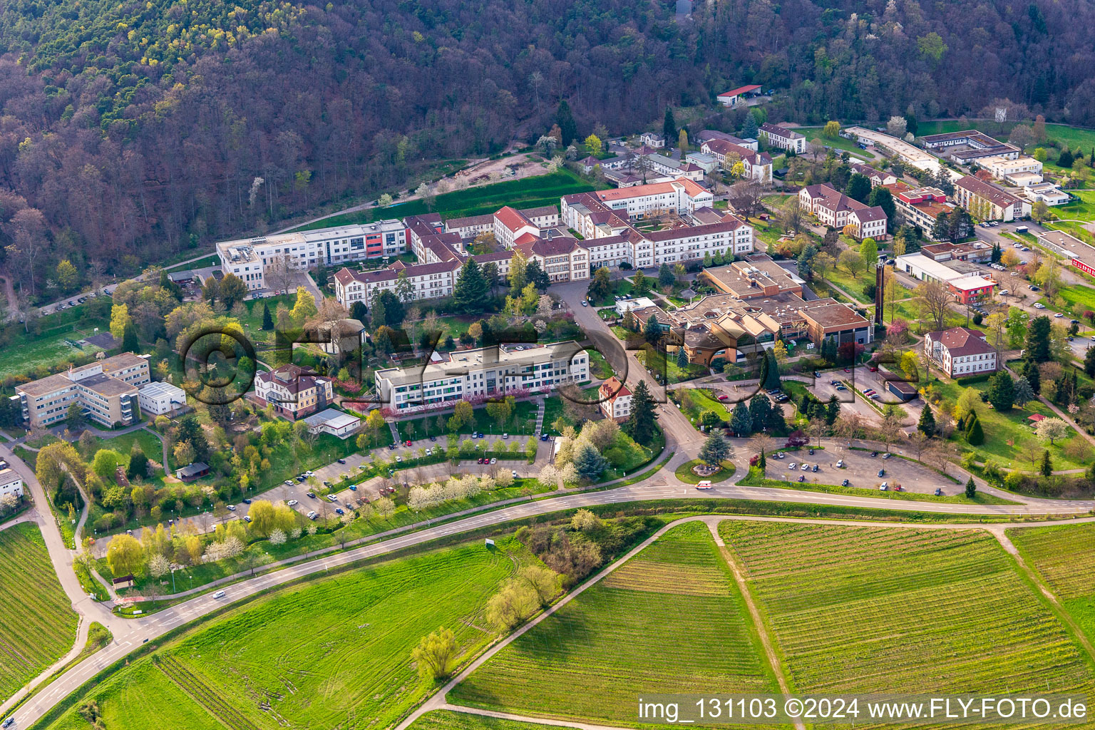 Palatinate Clinic Landeck in Klingenmünster in the state Rhineland-Palatinate, Germany from the plane