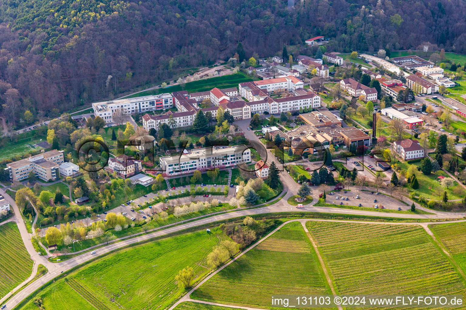 Pfalzklinik Landeck in Klingenmünster in the state Rhineland-Palatinate, Germany from the plane