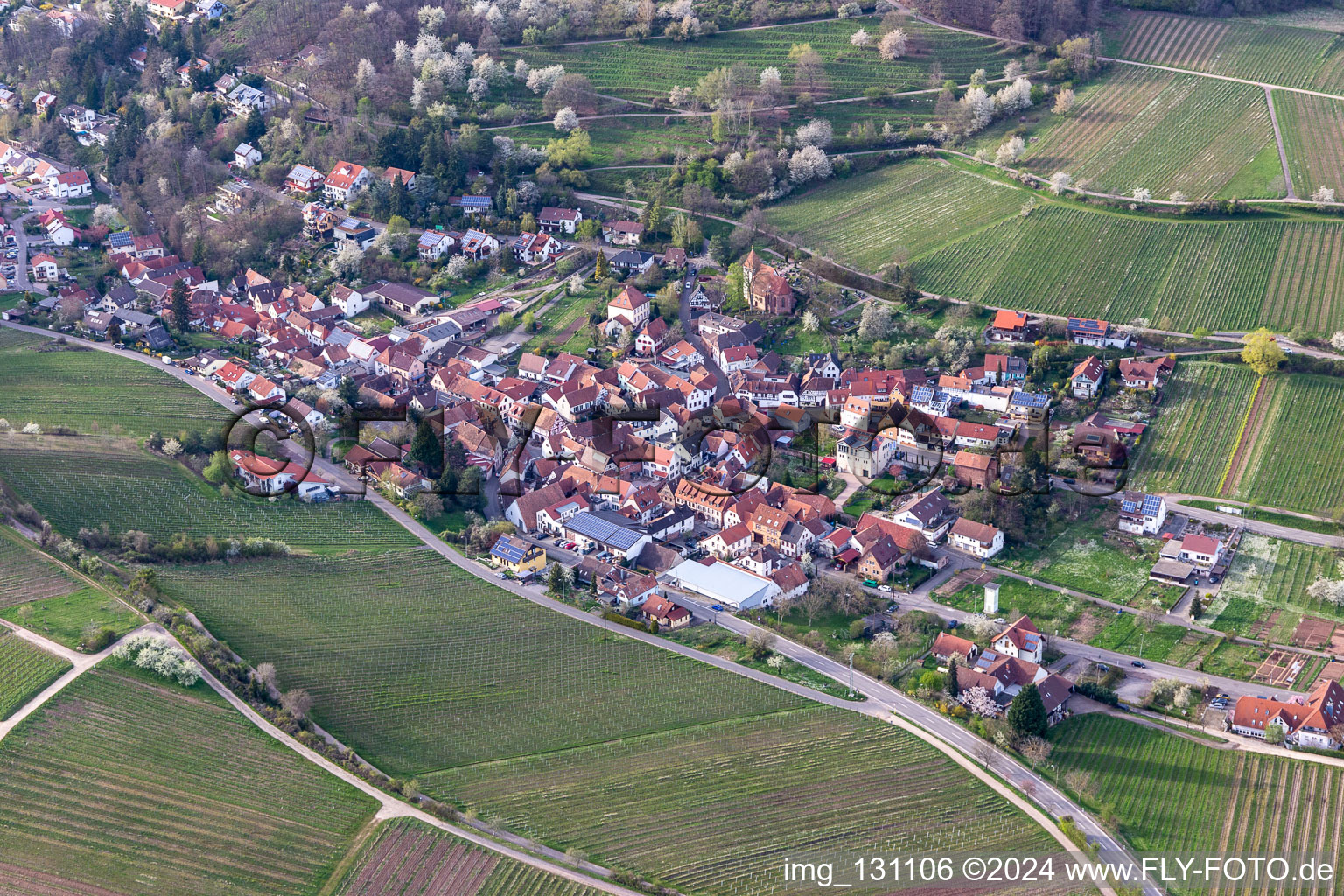 Leinsweiler in the state Rhineland-Palatinate, Germany from above