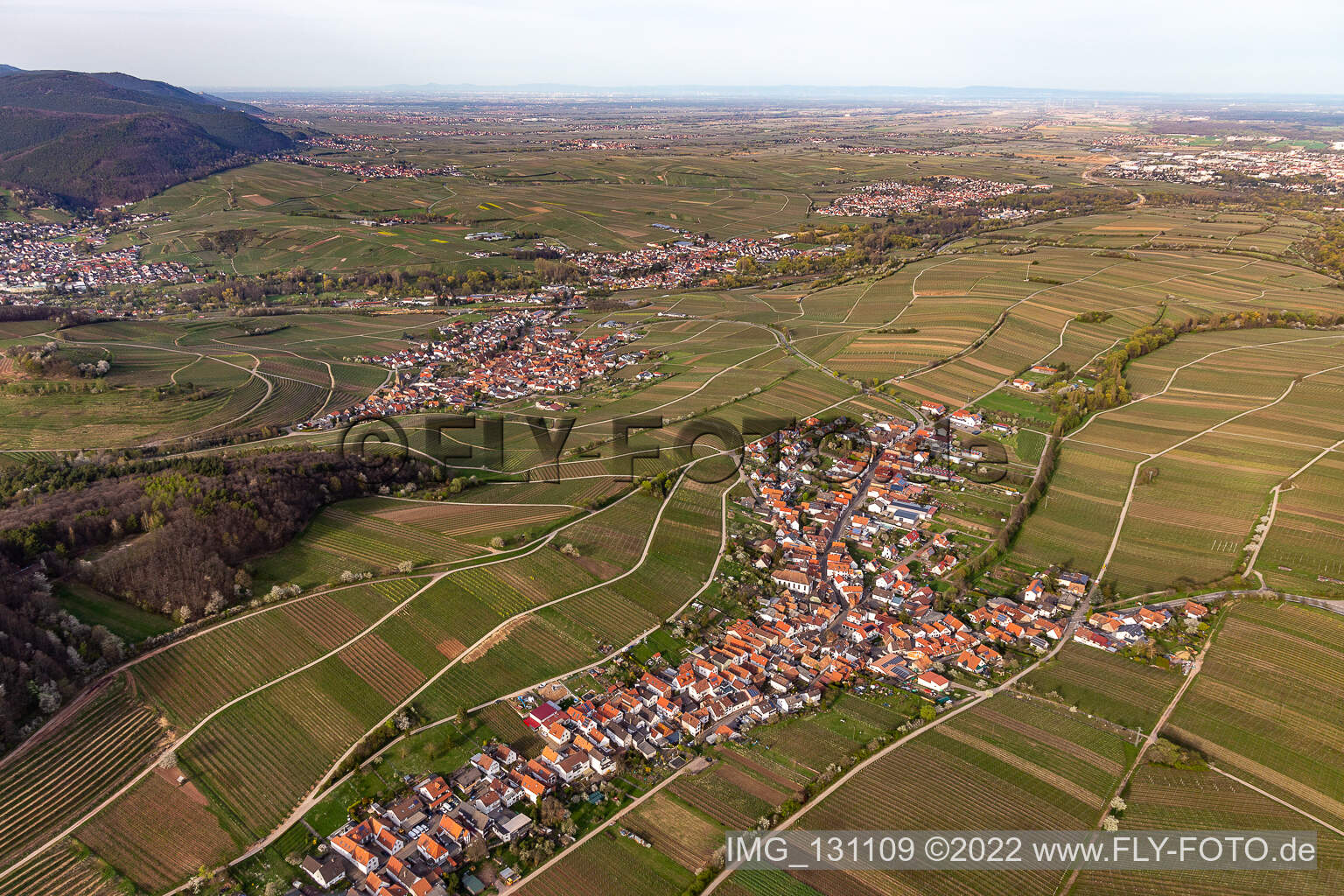 Ranschbach in the state Rhineland-Palatinate, Germany seen from a drone